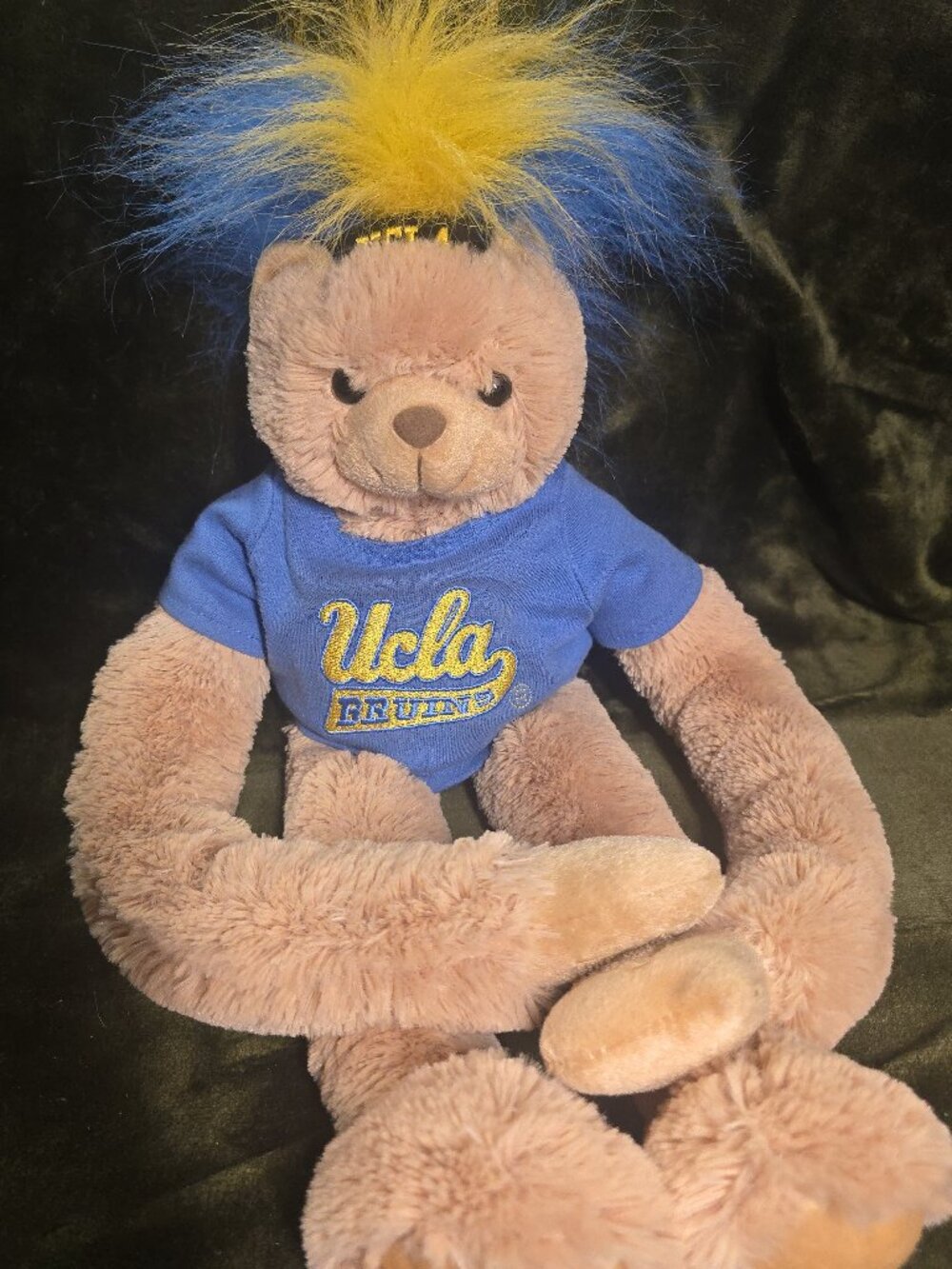 UCLA Bruins Long Arm Plush Bear, Crazy Blue & Yellow Hair, 21 inch